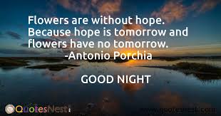 Check spelling or type a new query. Flowers Are Without Hope Because Hope Is Tomorrow And Flowers Have No Tomorrow Antonio Porchia Quotesnest Com