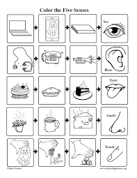 Download and print these five sense for kids coloring pages for free. Senses Five Coloring Page
