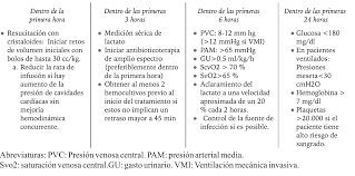 Hemos escuchado en los últimos días hablar de choque séptico como una de las causas de la muerte bebes recién nacidos en el hospital general de los mochis. Vista De Actualizacion En Sepsis Y Choque Septico En Adultos Medunab