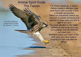 Birds And Their Spiritual Meanings Birds Of Prey Are Hiding A Secret From You Animal Spirit Guides Animal Totem Spirit Guides Spirit Animal Totem