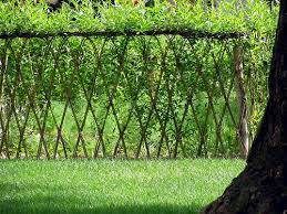 Green Willow Fence Willow Fence Living Willow Fence Natural Fence