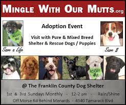 You can find our animals at the petsmart adoption centers located at grove city and hilliard! Columbus Dog Connection