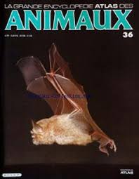 Le journaliste christophe jakubyszyn présente la matinale de bfm business et la cérémonie des bfm awards diffusée ce soir sur rmc story. Download Encyclopedie Atlas Des Animaux No 36 Du 31 12 2099 Pdf Rfatkephas