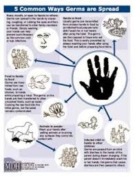 Avoiding Cross Contamination Hand Hygiene Infection Control Nursing Hand Washing Poster