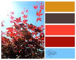 Natures Color Combos Japanese Colors Color Combos Color