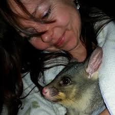 How to get a possum to move from under solar panels where water is  collected from the roof?