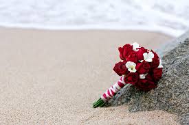 Use them in commercial designs under lifetime, perpetual & worldwide rights. 5 322 Red Rose Beach Photos Free Royalty Free Stock Photos From Dreamstime