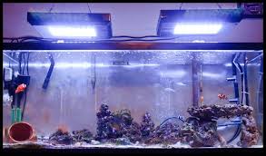 100 Gallons Aquarium Dimensions 100 Gallon Aquarium Aquarium Design Aquarium