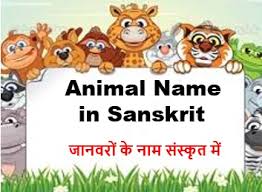 हमने कई जानवरों के नाम हिंदी के . Pet Animals Names In Sanskrit Archives Studysafar