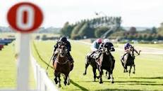 Image result for Kevin Blake is he bloodhorse literate?