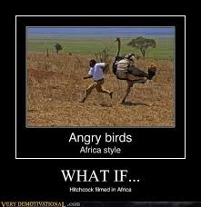 Memebase Ostrich All Your Memes In Our Base Funny Memes Cheezburger Your meme was successfully uploaded and it is now in moderation. funny memes cheezburger