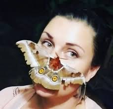 Things with Things With Faces