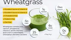Image result for what are the health benefits of wheatgrass powder