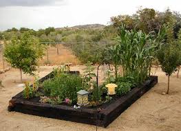 A Little Guide To A Lovely Garden Desert Garden Backyard Garden Backyard Herb Garden