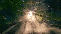 Find stunning, high quality images of nature from our handpicked collection hd to 4k quality available in all devices download for free! Nature Gifs Find Share On Giphy