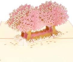 Each card was a winner! Buy Wrapaholic Pop Up Greeting Card 3d Popup Card Cherry Blossom Tree Pop Up Card For Birthday Mother S Day Valentine S Day Wedding Anniversary Party And Other Occasion 5 9 Inch X