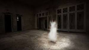 We did not find results for: Kumpulan Berita Hantu Diancam Dibunuh Sekelompok Hantu Pria Ini Lapor Polisi