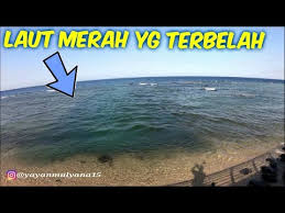 Gambar laut merah yang terbelah. Descargar Fenomena Laut Merah Terbelah Di Jeddah Download Mp