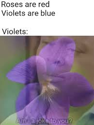Why do they say violets are blue? I have no clue. : r/memes