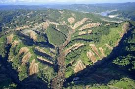 A Huge Swath Of Land Has Slipped Near Atsuma Town Landslide Hokkaido Aerial Footage