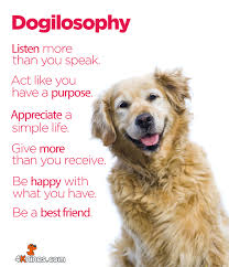 Be A Best Friend 4knines Dogilosophy Friendship Happiness Dogs Inspiration Dogquotes Pets Furkids Goldenretriever Dog Quotes Dogs Sheltie Puppy