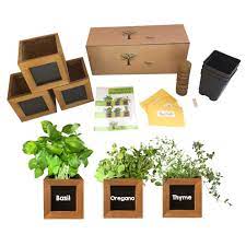 The 9 Best Indoor Herb Growing Kits For 2021 Allrecipes