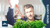 Maybe you would like to learn more about one of these? Can You Leave Your Led Grow Lights On All The Time The Science Of Light Gardening In Canada Youtube