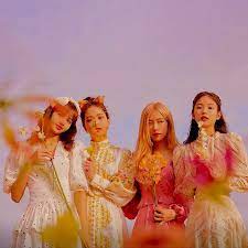 It can have small spots or . Blackpink Fotos 14 Von 339 Last Fm