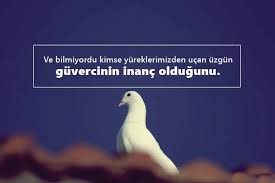 Guvercin Ile Ilgili Sozler Guvercin Sozleri Pek Guzel Sozler