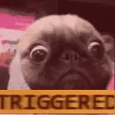 See more of meme gif on facebook. Triggered Gifs Get The Best Gif On Giphy