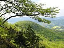 Der landkreis eichsfeld liegt im nordwesten des freistaats thüringen, eingebettet zwischen dem harz im norden, der werra und dem osthessischen bergland im südwesten und dem thüringer becken im südosten. Gobert Wikipedia