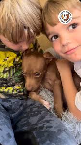 Fayette County Animal Rescue