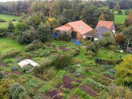 Dat geld werd in beslag genomen bij de inval in de boerderij in ruinerwold in oktober 2019. Father Of Six Children Held In Secret Basement For A Decade May Have Tried To Start Cult The Independent The Independent
