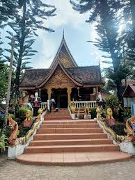 Image result for Bussea xylocarpa