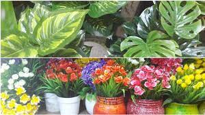 We did not find results for: Where To Buy Affordable Decor Items In Nairobi Home Decor Kenya Affordable Faux Plants 50bob Youtube