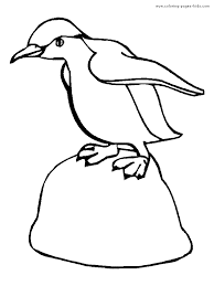 Teach your child how to identify colors and numbers and stay within the lines. Penguin On A Rock Color Page