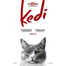 Film Gundemi Kedi 2016 Kedi 2016 Kedifilm Ninelivescatsinistanbul Belgesel Ceydatorun Documentary Odulluf Cat Movie Documentary Poster Documentaries