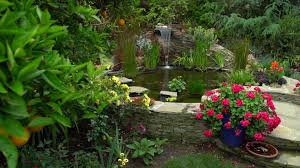 It operates with domestic flights (including hawaii) and some international destinations in mexico, canada, europe and japan. Explore San Diego Food Forest Sanctuary Fox 5 San Diego