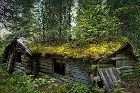 Room #1 and room #2. Old Trappers Cabin On Byers Lake Cabin Photograph By Eclectic Edge Photography Kevin And Diana Holton