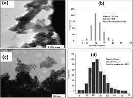Image result for Helichrysum aureo-nitens