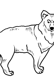 We have selected the best free roadrunner coloring pages to print out and. Coyote Coloring Page Color Online For Free