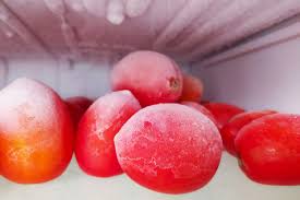 No more scalding water splashing on your skin. How To Freeze Tomatoes 5 Simple Methods That Work With Ease