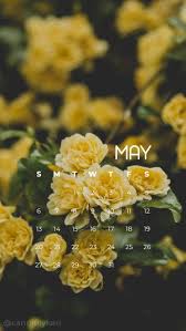 Yellow Flower Carnations May Calendar 2018 Wallpaper You Can Download For Free On The Blog For Any Retro Wallpaper Iphone Mobile Wallpaper Calendar Wallpaper