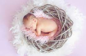 Sheepskin rug manufacturers & wholesalers. Here S Where You Can Find Affordable And Eco Friendly Sheepskin Rugs