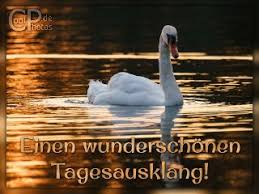 Wären sie so nett und würden sie ihr bitte morgens und abends je eine halbe dose fressen geben? Coolphotos De Grusskarten Tageszeiten Schonen Guten Abend
