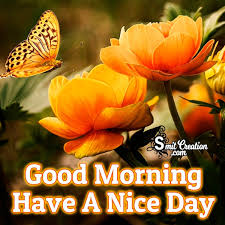 Suprabhat suvichar and good morning quotes in hindi have such a power to brighten our day when we stumble upon them! Good Morning Flowers Images Smitcreation Com