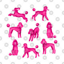Pink Poodles