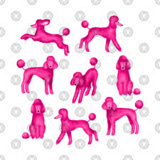 pink poodles