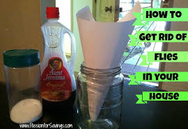 How To Get Rid Of Flies In Your House Get Rid Of Flies House Fly Traps Helpful Hints