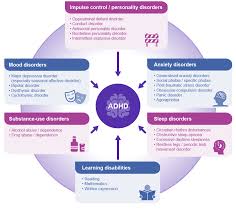 Sep 21, 2020 · there is no single test to diagnose adhd, and many other problems, like sleep disorders, anxiety, depression, and certain types of learning disabilities, can have similar symptoms. Burden Of Adhd Adhd Institute